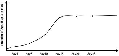 Spatiotemporal Small Non-coding RNAs Expressed in the Germline as an Early Biomarker of Testicular Toxicity and Transgenerational Effects Caused by Prenatal Exposure to Nanosized Particles